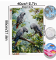 Preview: Diamond Painting Graupapageien